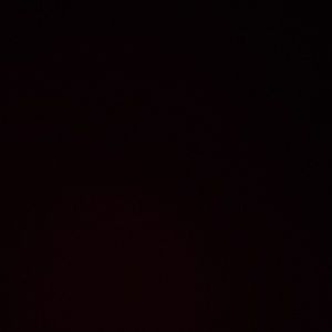 Meet your Posher, Reyna